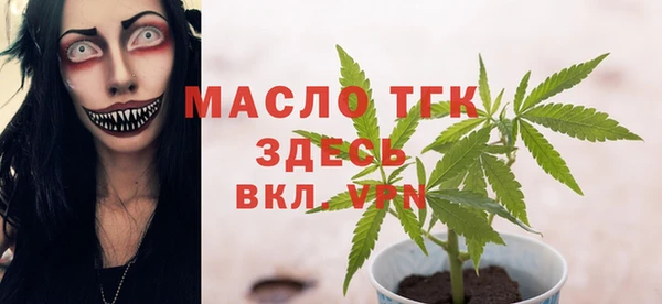 гашик Новоузенск